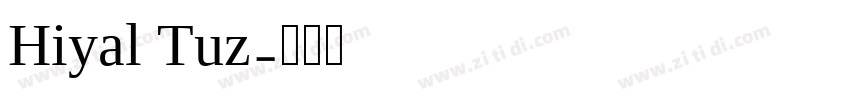 Hiyal Tuz字体转换